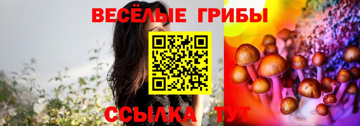 Галлюциногенные грибы MAGIC MUSHROOMS Новый Уренгой